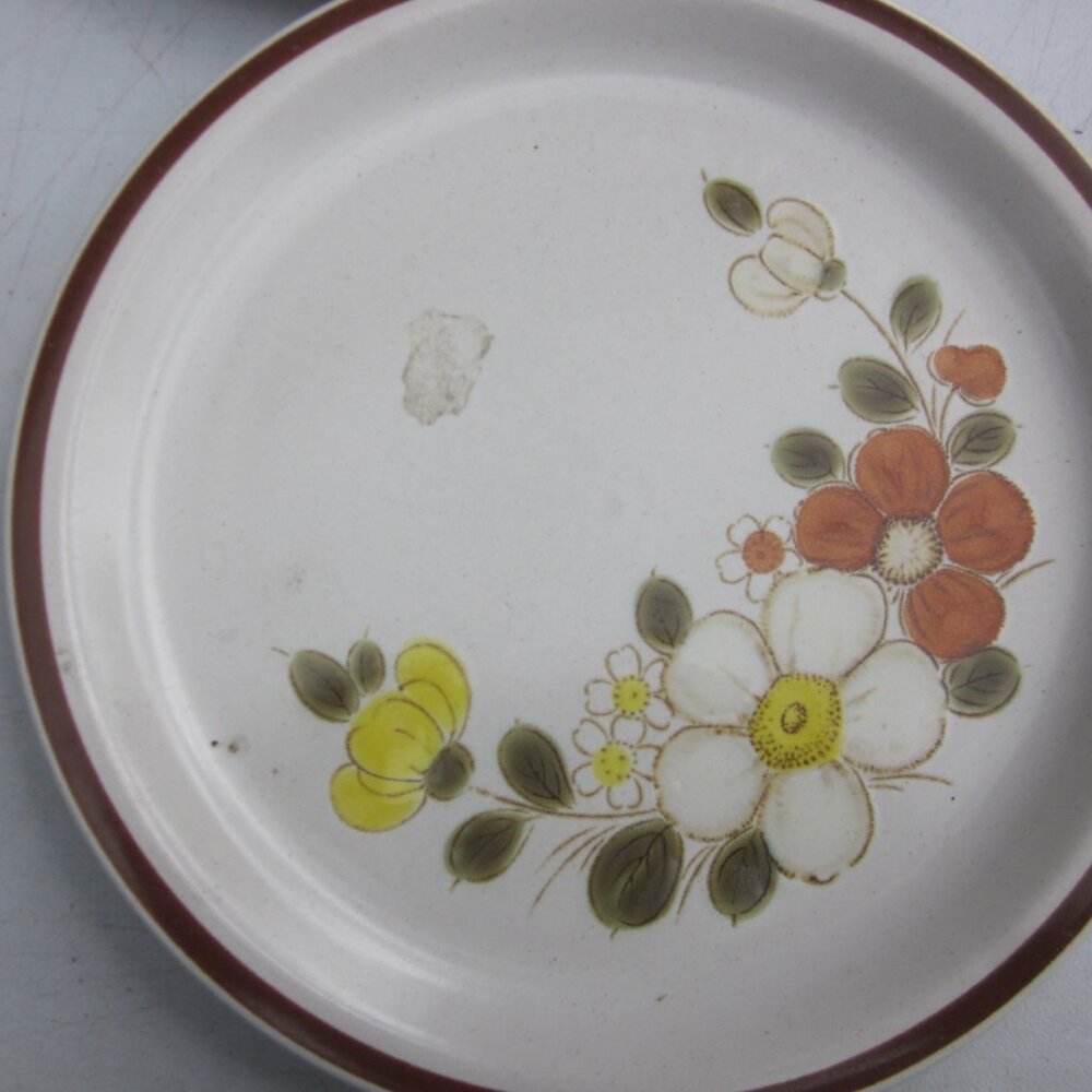 2 vtg BOHO Hippie 70s stoneware 10 in dinner plates earthy flower pattern